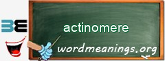 WordMeaning blackboard for actinomere